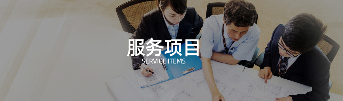 服务项目